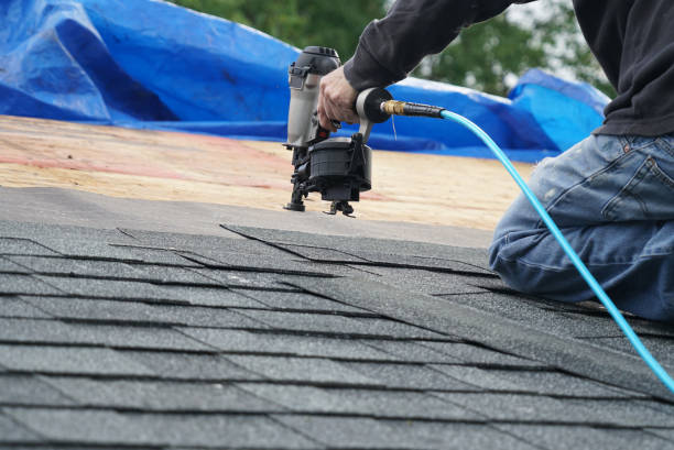 Best Storm Damage Roof Repair  in Ardmore, AL